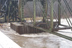 2010 Flood